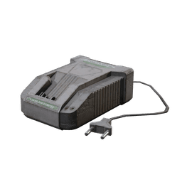 Industrial Charger