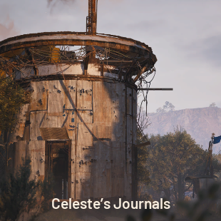 Celeste’s Journals