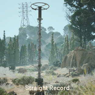 Straight Record